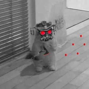 Meet your Posher, Cesar